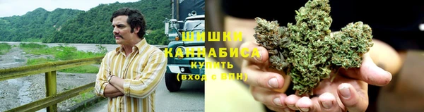 гидропоника Алзамай