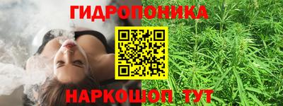 стафф Можга