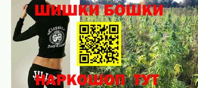 стафф Можга
