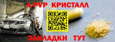 стафф Можга