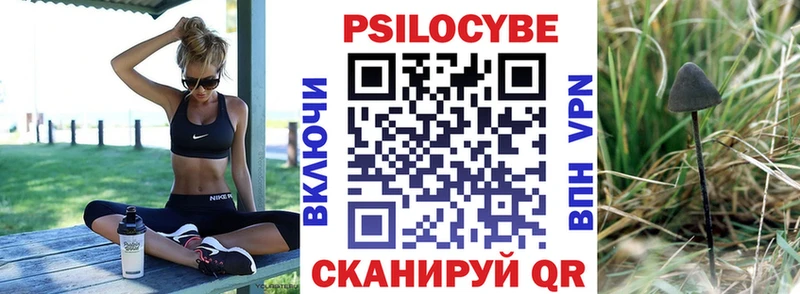 Галлюциногенные грибы прущие грибы  Фурманов 