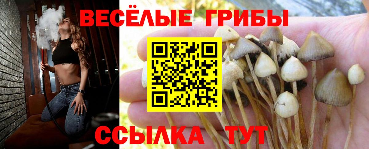 Галлюциногенные грибы прущие грибы  Вход с VPN  Галлюциногенные грибы мухоморы  Фурманов 