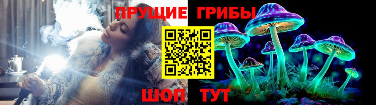 Галлюциногенные грибы Cubensis Фурманов